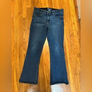 Democracy Absolution Blue Jeans